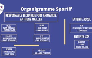 Organigramme sportif 